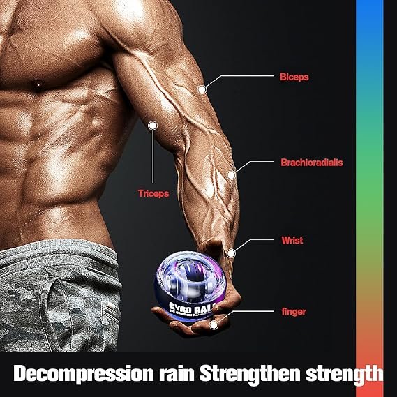 81dNRouKMWL._AC_SX569_